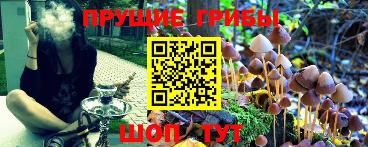 Галлюциногенные грибы ЛСД  Вход с VPN  как найти   Ишим 